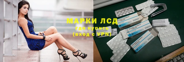 ешки Аркадак