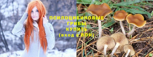 мяу мяу мука Арсеньев