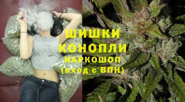 ешки Аркадак