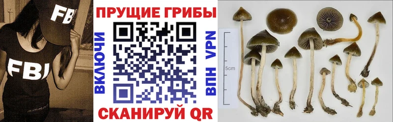 Галлюциногенные грибы GOLDEN TEACHER Невель
